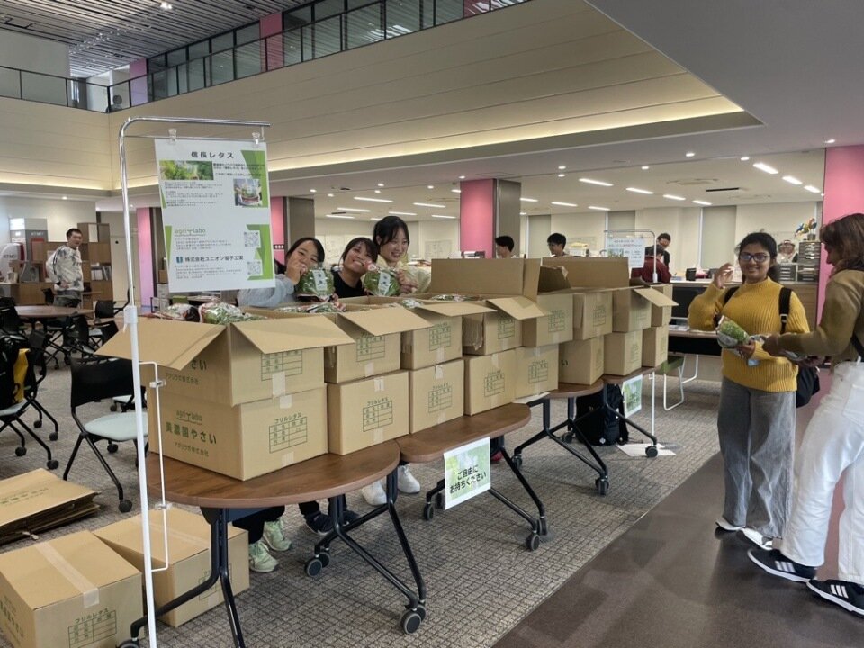 信長レタスの配布について