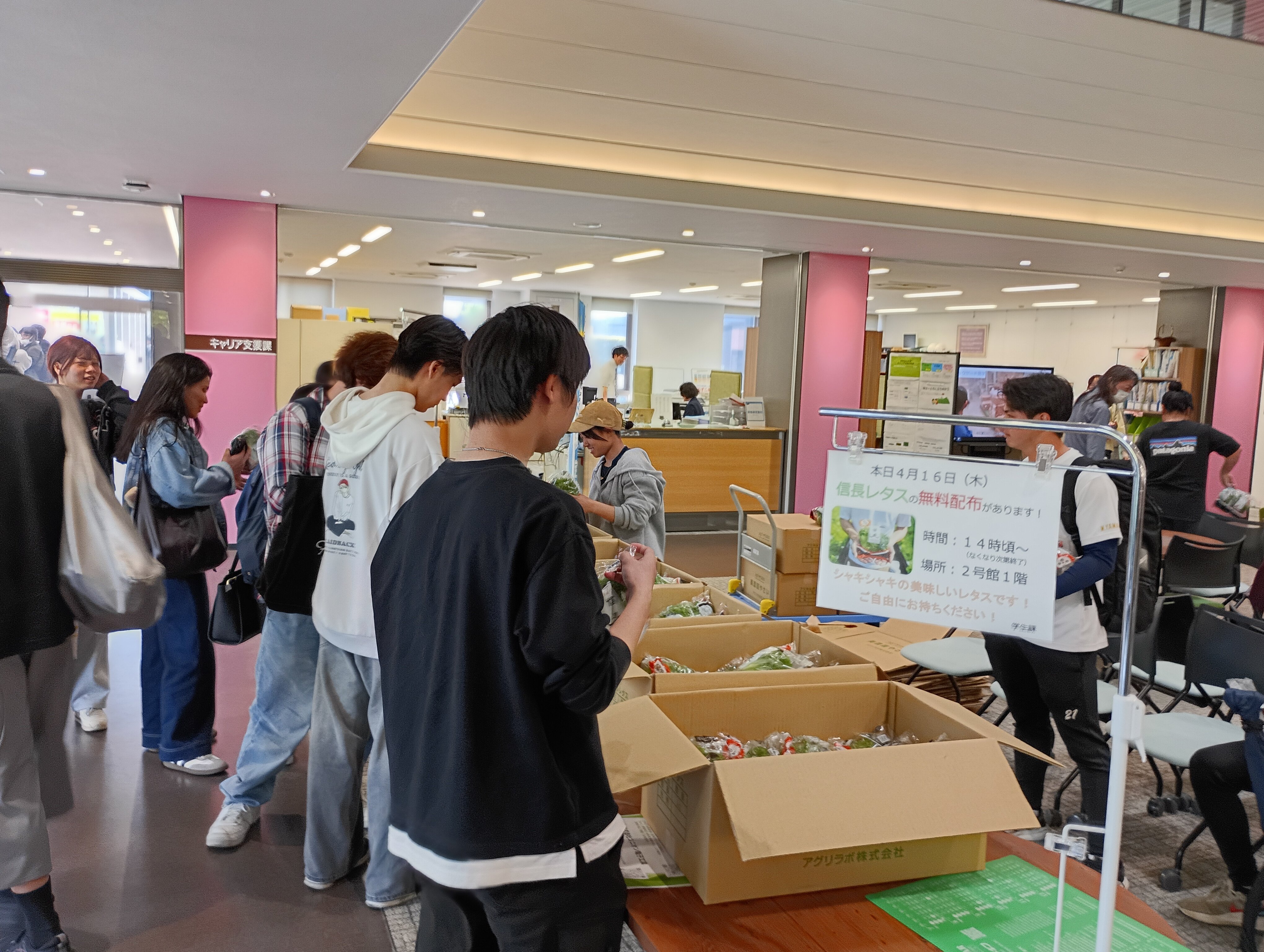 信長レタスの配布について